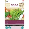 Buzzy Xotica Okra Clemson Spineless - Exotische zaden - 8 g