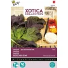 Buzzy Xotica Rode Amsoi Of Mosterdkool - Exotische zaden - 3 g
