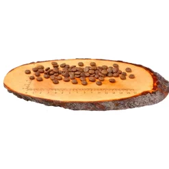 Carnilove Fresh Carp & Trout Sterilised - Kattenvoer