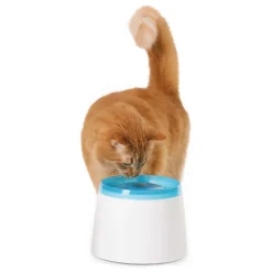 Catit Drinkfontein - Kattendrinkbak - 2 l