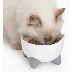 Catit Pixi Fountain Combo Kit - Kattendrinkbak - Wit