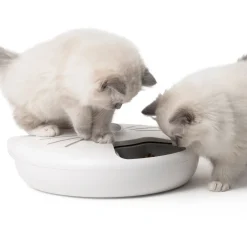 Catit Pixie Smart Feeder - 6 Maaltijden - Voederautomaat - 37x34 cm Wit