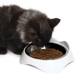 Catit Voerbak - Kattenvoerbak - Ø17x7 cm Wit