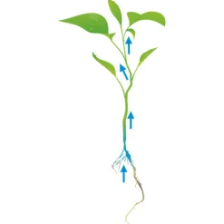 Cat's Best Original - Kattenbakvulling