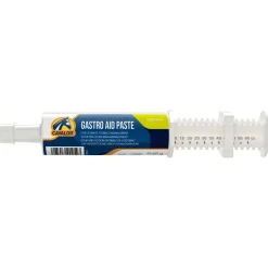 Cavalor Gastro Aid Paste - Voedingssupplement - 60 g