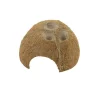 Ceramicnature Cocosnoot Schuilplaats - Aquarium - Ornament - Bruin