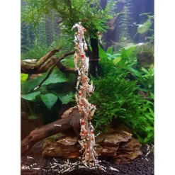 Ceramicnature Shrimp Lolly Mineral - Garnalen-Snack - 15 g 10 stuks