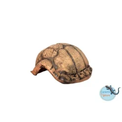 Ceramicnature Turtle Cave - Aquarium - Ornament - Ø10x10 cm Bruin S