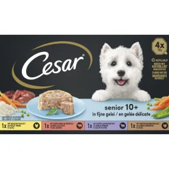 Cesar Alu Multipack Senior - Hondenvoer - 4x150 g