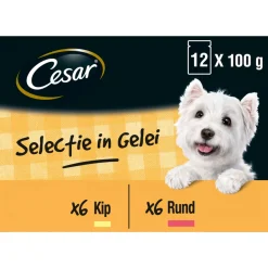 Cesar Maaltijdzakjes Multipack Adult In Gelei - Hondenvoer - 12 stuks