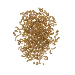 Darwin Schildpad Voeding - Voer