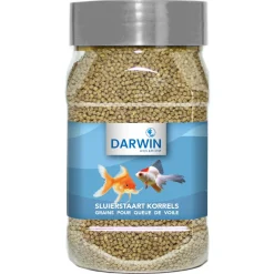 Darwin Sluierstaart Korrels - Vissenvoer