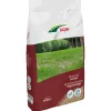 Dcm Graszaad Herstel - Graszaden - 400 m2 6 kg