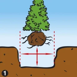 Dcm Vivimus Universeel - Bodemverbetering - 40 l