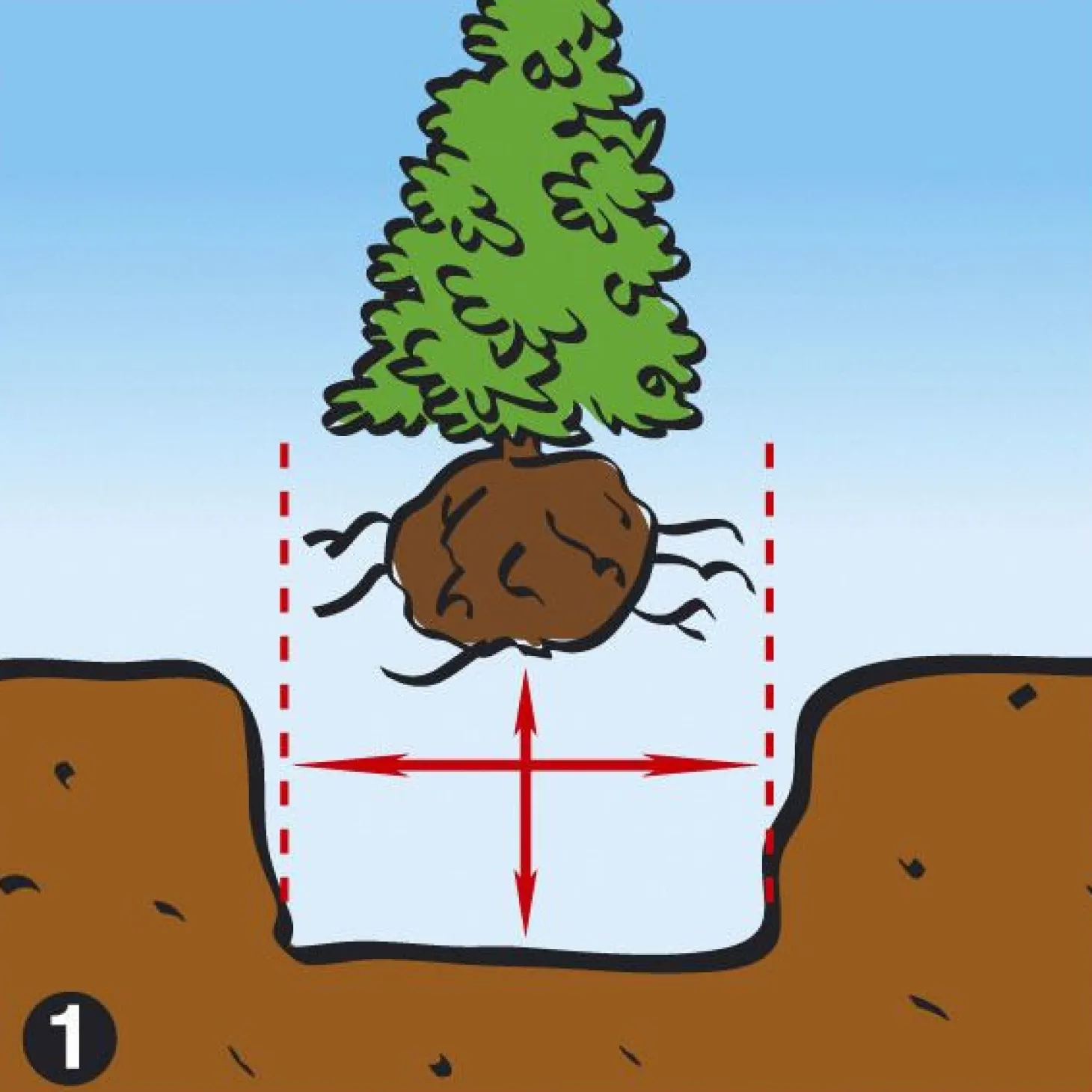 Dcm Vivimus Universeel - Bodemverbetering - 40 l