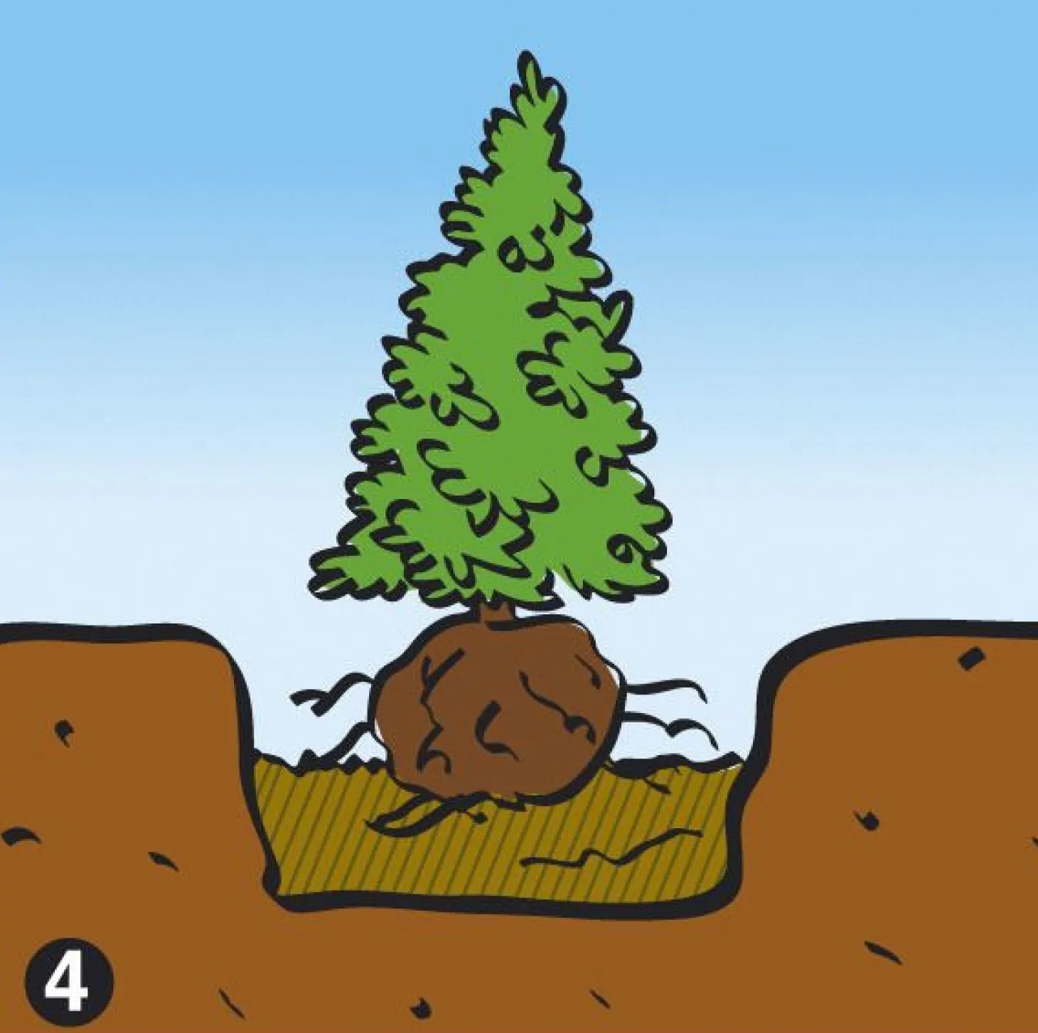 Dcm Vivimus Universeel - Bodemverbetering - 40 l