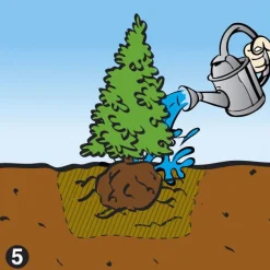 Dcm Vivimus Universeel - Bodemverbetering - 40 l