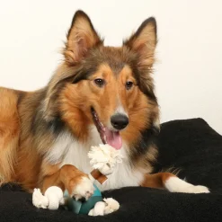 D&D Levi Lagoon - Hondenspeelgoed - 22 cm Blauw