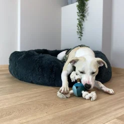 D&D Levi Lagoon - Hondenspeelgoed - 22 cm Blauw