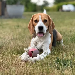 D&D Levi Rosewood - Hondenspeelgoed - 22 cm Pink