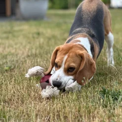 D&D Levi Rosewood - Hondenspeelgoed - 22 cm Pink