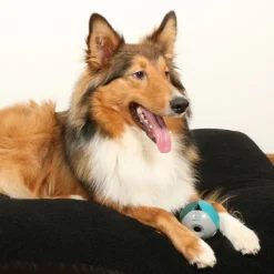 D&D Luca Lagoon - Hondenspeelgoed - Ø8 cm Blauw