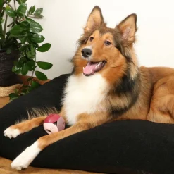 D&D Luca Rosewood - Hondenspeelgoed - Ø8 cm Pink