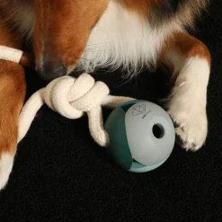 D&D Nora Lagoon - Hondenspeelgoed - 36 cm Blauw