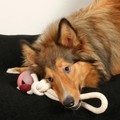 D&D Nora Rosewood - Hondenspeelgoed - 36 cm Pink