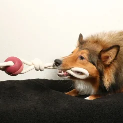 D&D Yara Rosewood - Hondenspeelgoed - 66 cm Pink