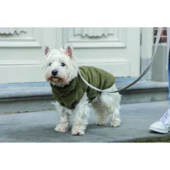 Designed By Lotte Hondenjas Victoria - Hondenkleding - 28 cm 110 g Groen