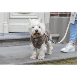 Designed By Lotte Hondentrui Madeleine - Hondenkleding - 24 cm 60 g Taupe