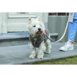 Designed By Lotte Hondentrui Madeleine - Hondenkleding - 24 cm 60 g Taupe