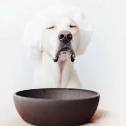 District 70 Bamboe Voerbak Donkergrijs - Hondenvoerbak