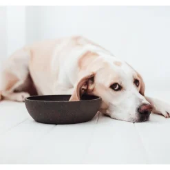 District 70 Bamboe Voerbak Donkergrijs - Hondenvoerbak