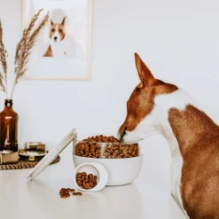 District 70 Bamboo Voorraadpot Met Antislipbodem - Hondenvoerbewaarbak - Ø18 cm 2250 ml Beige