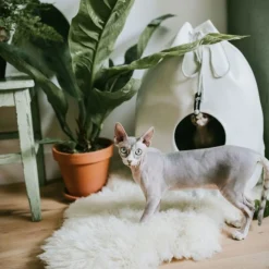 District 70 Casa Ø45x60 cm - Kattenmand