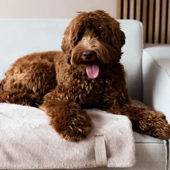 District 70 Nuzzle Blanket 100x70 cm - Hondendeken