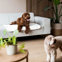 District 70 Nuzzle Blanket 100x70 cm - Hondendeken