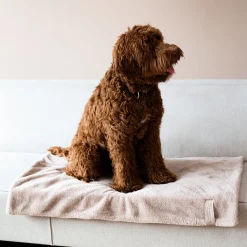 District 70 Nuzzle Blanket 100x70 cm - Hondendeken