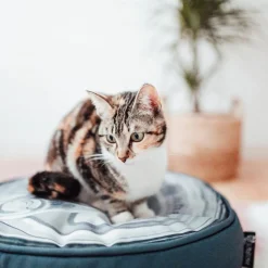 District 70 Tin Pouf Iron - Kattenmand - Ø45x15 cm Grijs