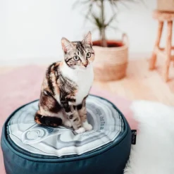 District 70 Tin Pouf Iron - Kattenmand - Ø45x15 cm Grijs