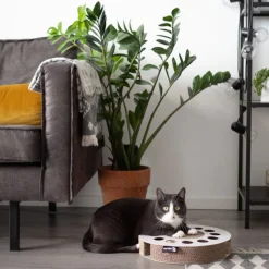 District 70 Whirl - Kattenspeelgoed - Ø33x6 cm Zwart