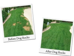 Dog Rocks Tegen Urine Plekken - Gazonbescherming - 200 g Bruin Groen