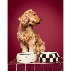 Dogguo Block Dogbowl - Voer & Drinkbak - Ø20x9 cm Beige Zwart M