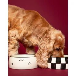 Dogguo Block Dogbowl - Voer & Drinkbak - Ø20x9 cm Beige Zwart M