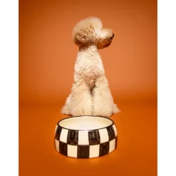 Dogguo Block Dogbowl - Voer & Drinkbak - Ø20x9 cm Beige Zwart M