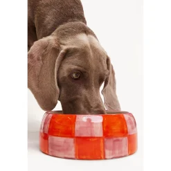 Dogguo Block Dogbowl Oranje&Pink - Hondenvoerbak