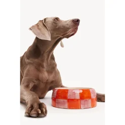 Dogguo Block Dogbowl Oranje&Pink - Hondenvoerbak