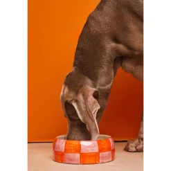 Dogguo Block Dogbowl Oranje&Pink - Hondenvoerbak